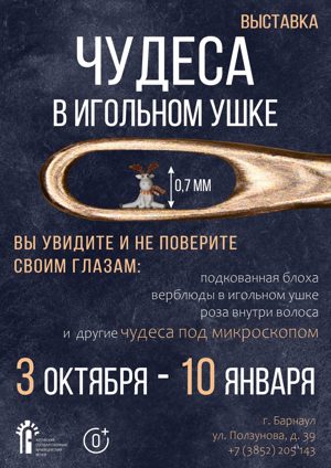Чудеса в игольном ушке