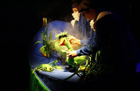 Гадкий утёнок
