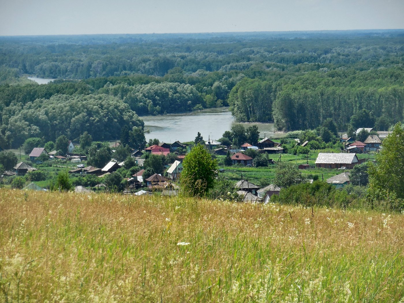 Село Сростки и пойма Катуни с горы Пикет