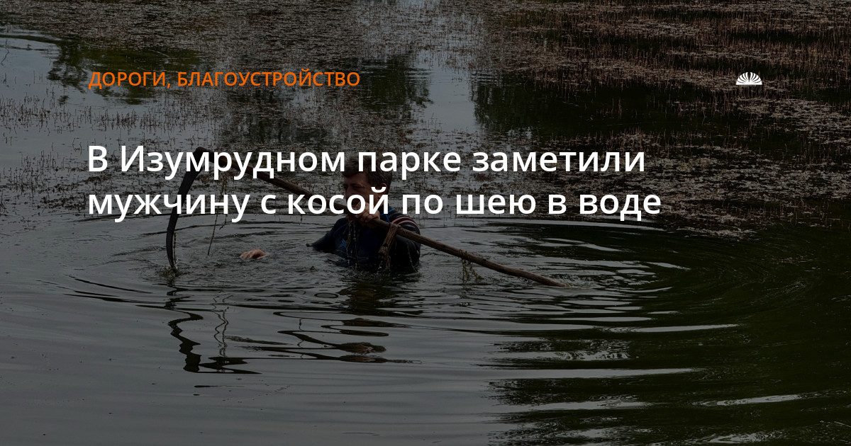 В Изумрудном парке очищают пруд от водорослей