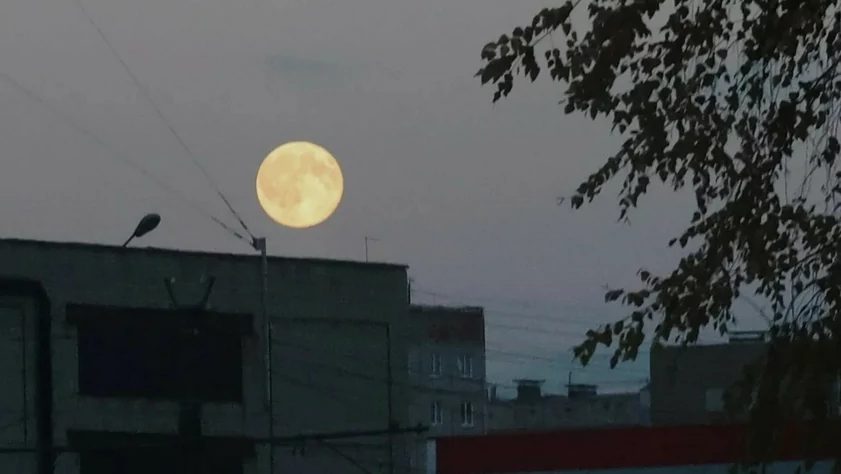 Охотничье полнолуние запечатлели над Барнаулом в вечерних сумерках
