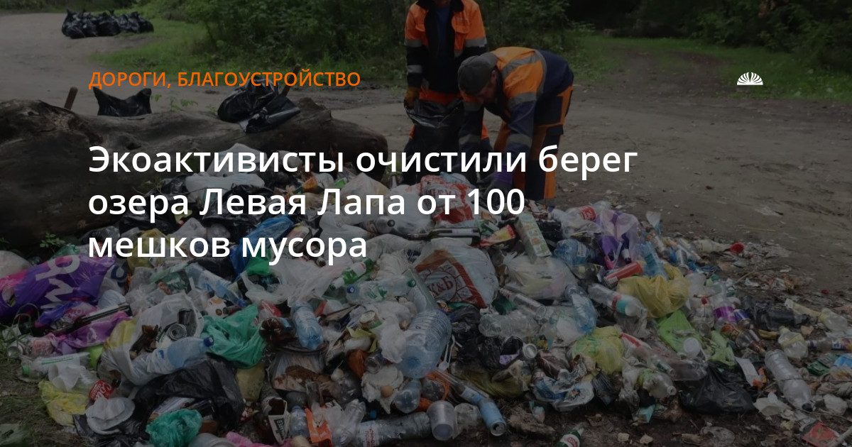 Экоактивисты собрали 100 мешков мусора с берега озера Левая Лапа