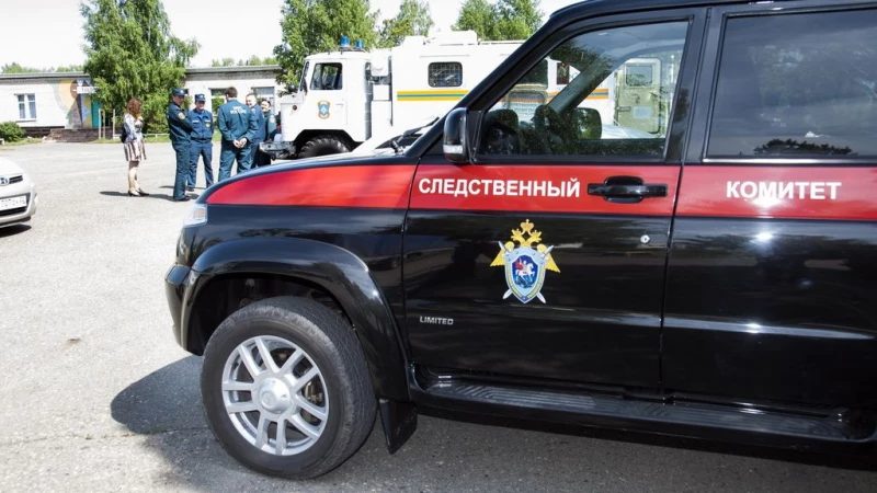 Женщина из Третьяковского района осуждена за убийство сожителя