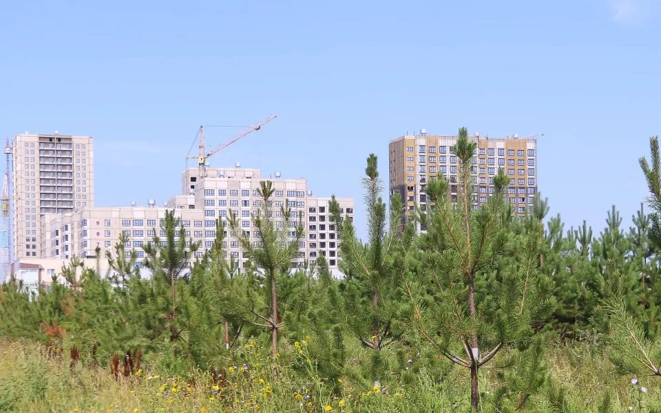 Рейтинг распроданности квартир в новостройках Барнаула: кто лидирует, кто отстаёт