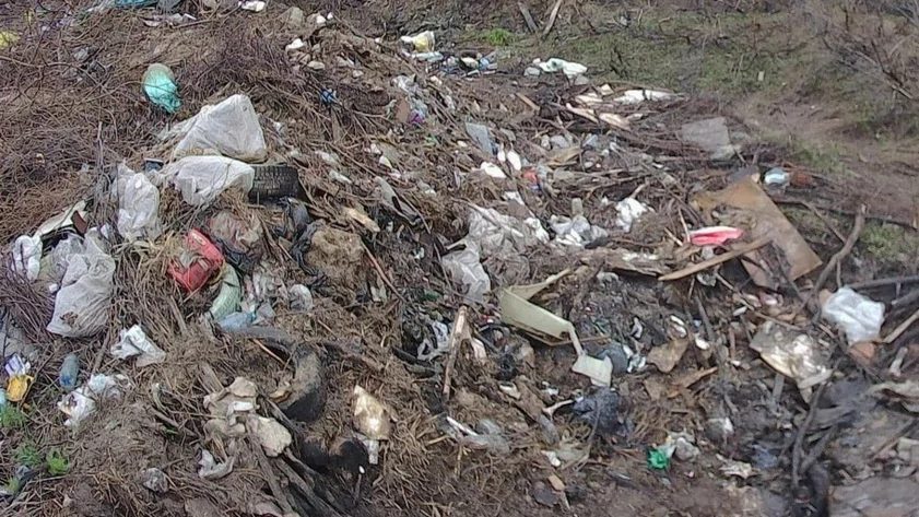 В поселке Центральный приказали убрать незаконную свалку