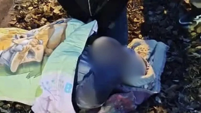 В Барнауле возле Алтайской академии гостеприимства иномарка сбила первокурсницу