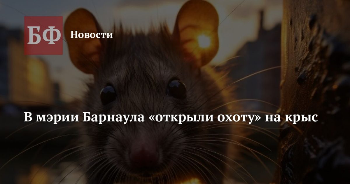 Администрация Барнаула организует дератизацию многоквартирных домов