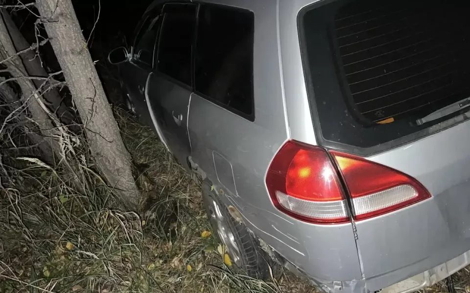 Мужчина погиб при столкновении автомобиля с гужевой повозкой в Рубцовском районе