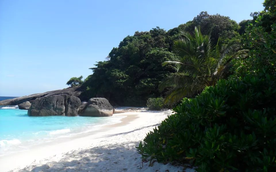 Жительница Барнаула угрожает волонтерам, спасившим её из таиландского центра содержания