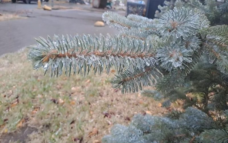 В Алтайском крае ожидаются первые заморозки