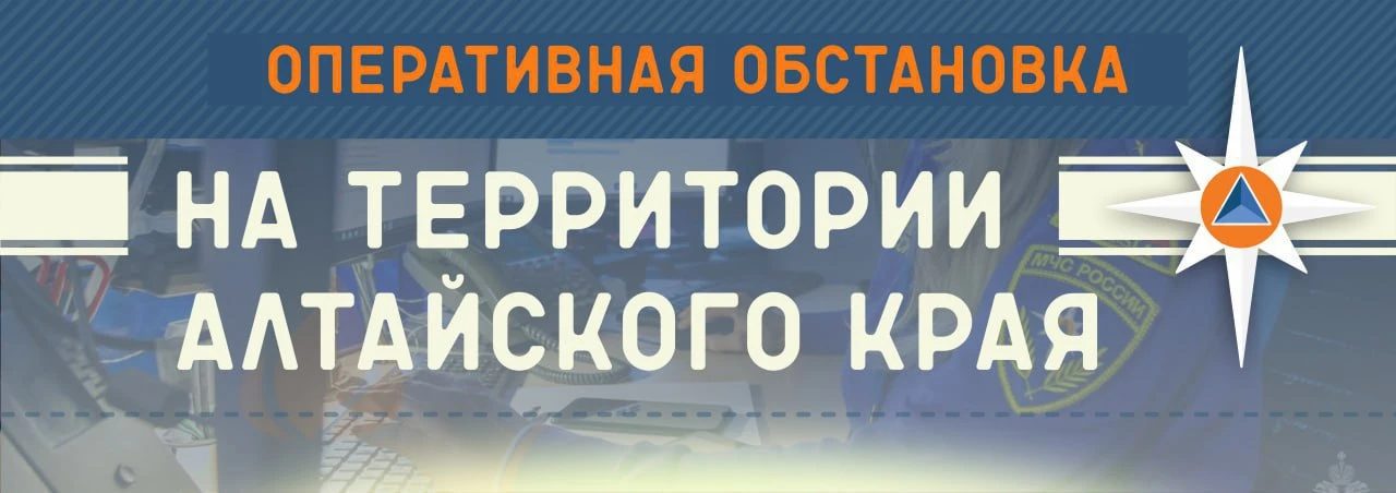 В селе Долганка Крутихинского района сгорели дом и хозпостройки