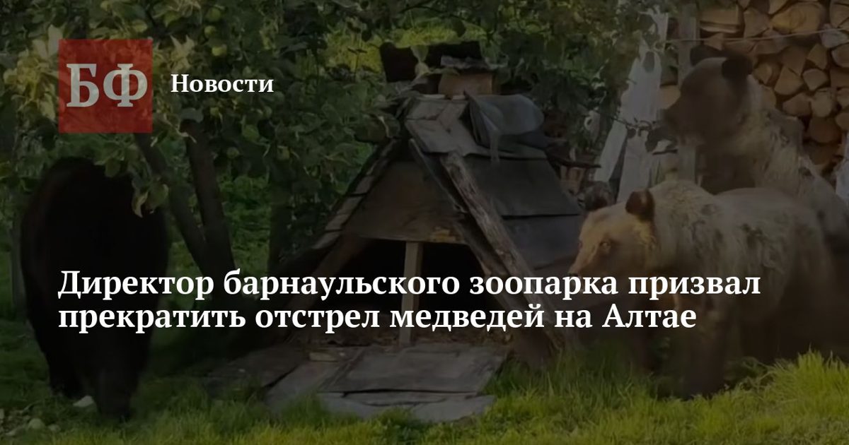 Вместо отстрела медведей предложили создать кормовые базы в тайге