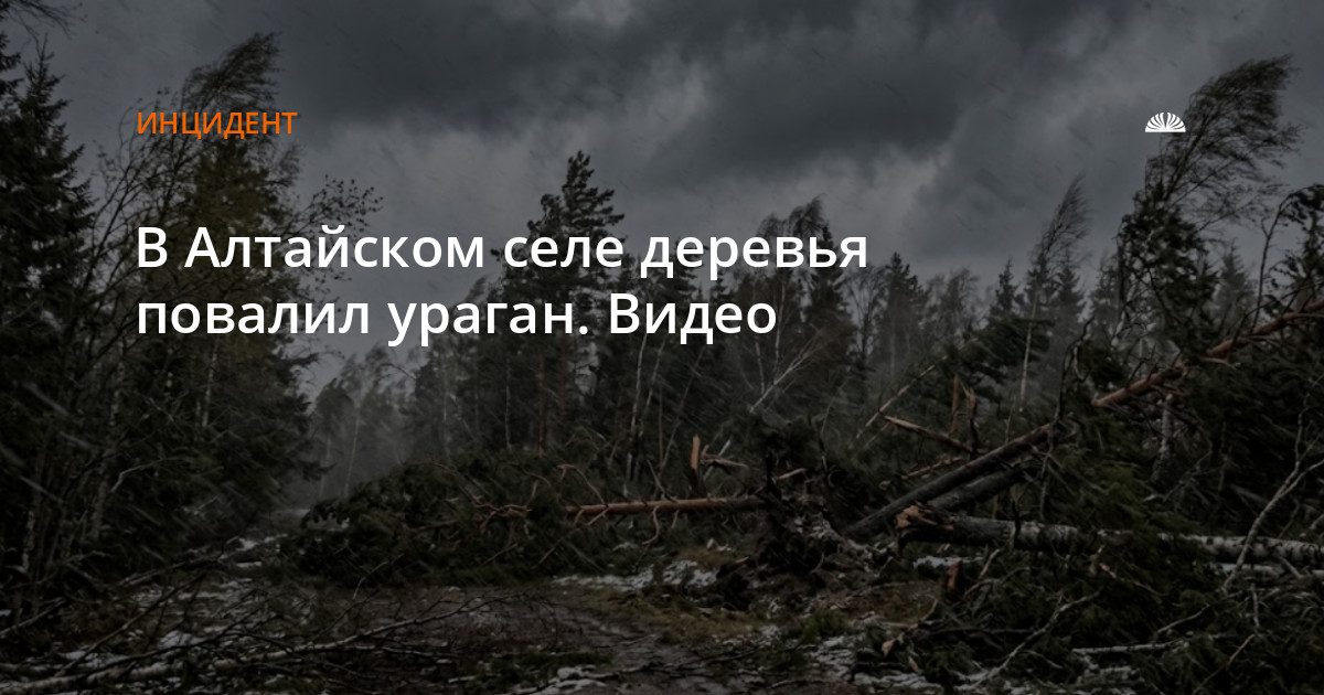 Ураган повалил деревья в селе Вострово Волчихинского района