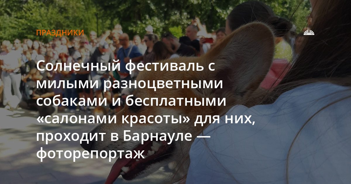 В парке «Изумрудный» прошел фестиваль «Лапки Тапки» для собачников и кошатников