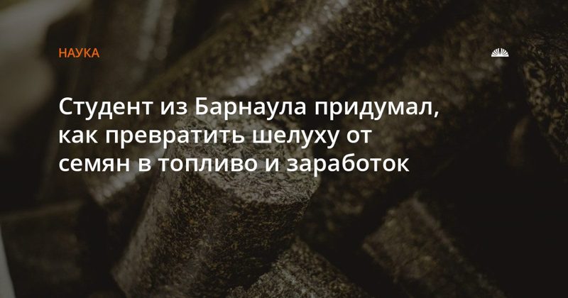 Барнаульский студент предложил делать топливо из подсолнечной лузги