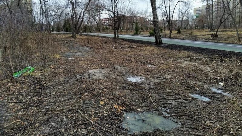 В Барнауле отменили общегородской субботник из-за непогоды