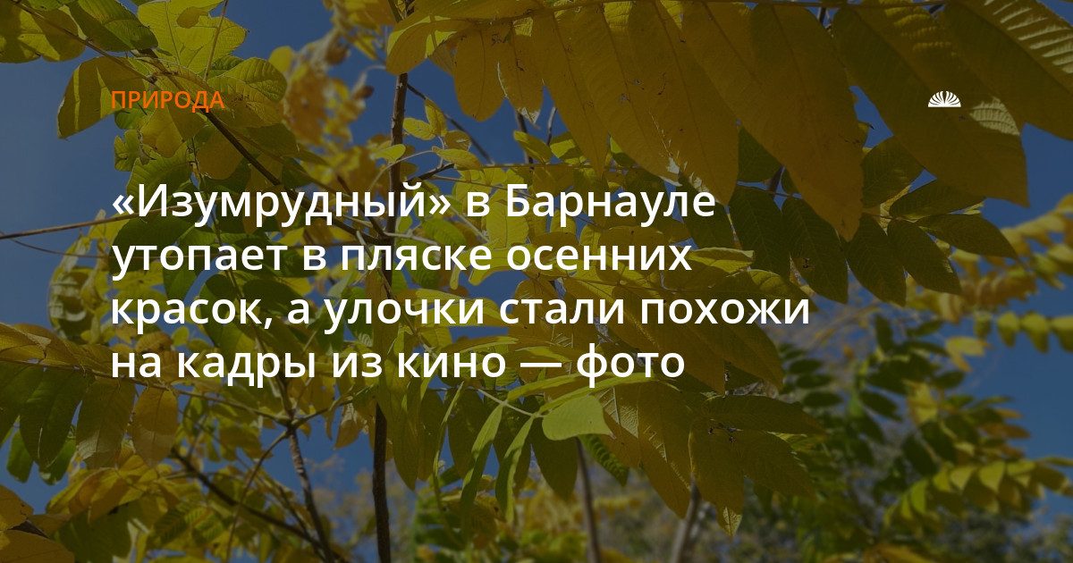 Осень в парке «Изумрудный» и на улицах Барнаула
