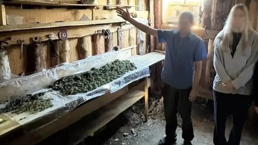 В Егорьевском районе задержали сельчанина с цехом по сушке наркотических растений