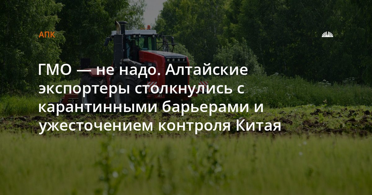 Алтайские экспортеры столкнулись с ужесточением контроля Китая на рапс и корма