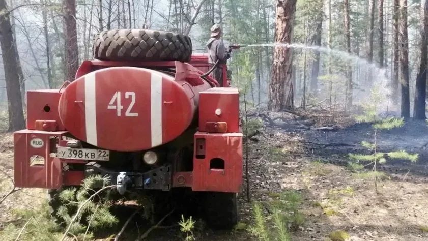 Алтайский край потушил 238 лесных пожаров с помощью дронов и авиапатрулирования