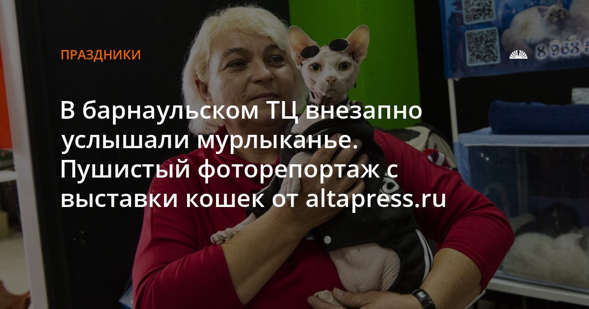 В ТЦ «Поместье» открылась международная выставка кошек
