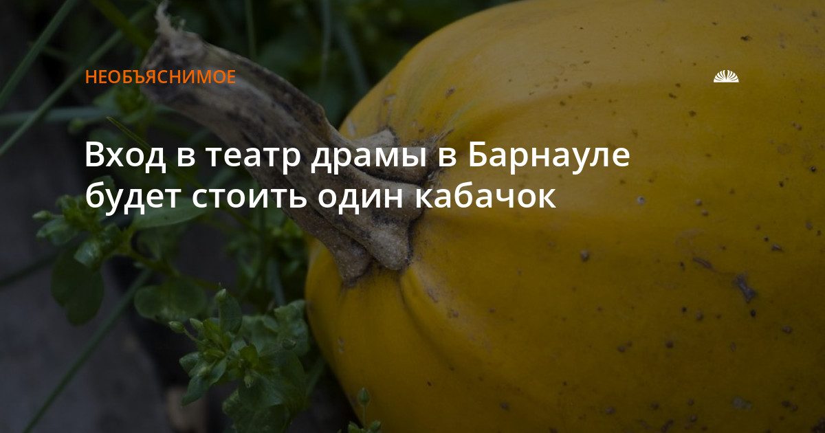 Вход в театр драмы обойдётся в кабачок