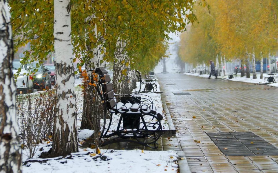 Барнаул побелел среди осени: город накрыл снегопад