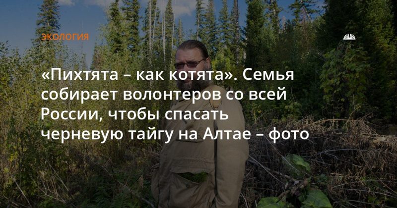 Семья из Москвы спасает черневую тайгу на Алтае с помощью волонтеров