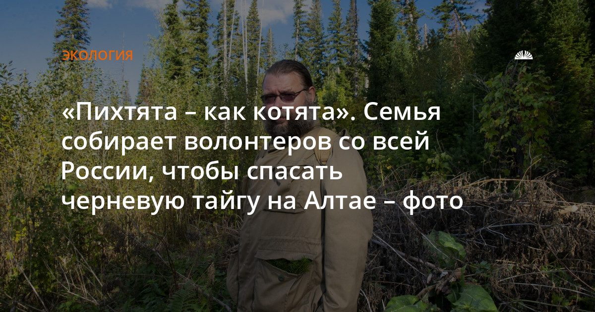 Семья из Москвы спасает черневую тайгу на Алтае с помощью волонтеров