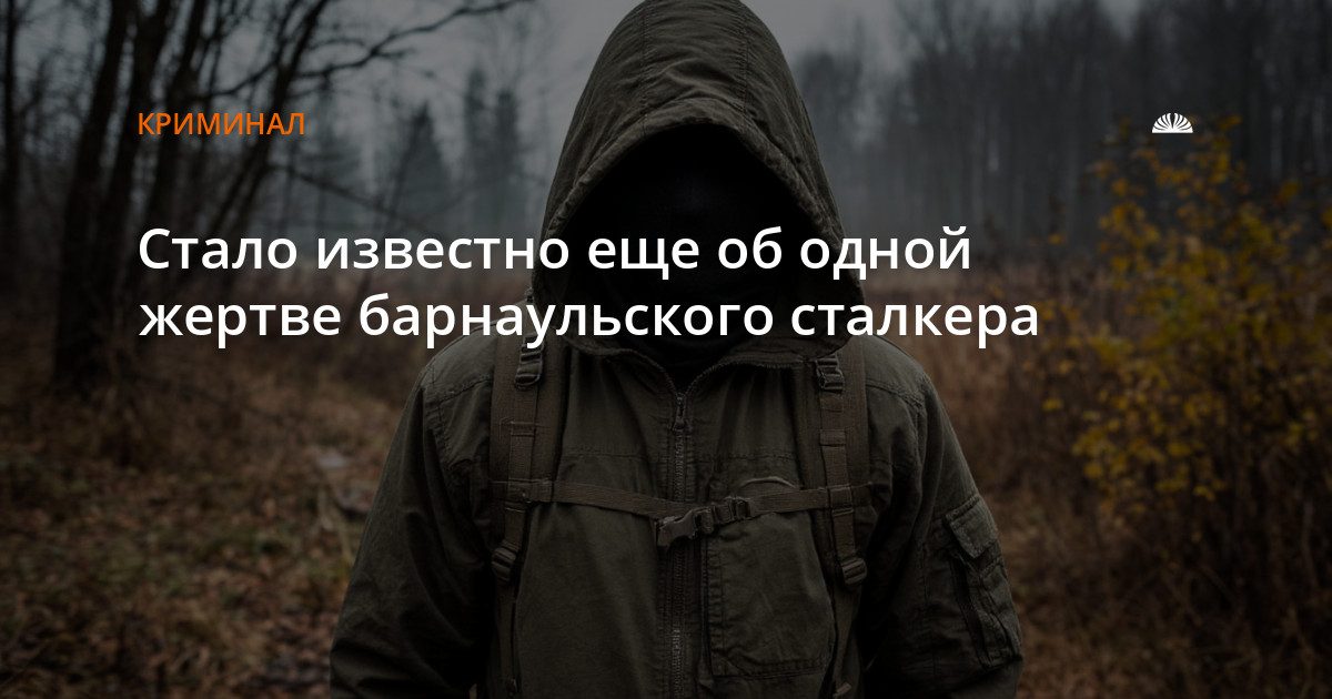 Бастрыкин взял на контроль дело о сталкинге в Барнауле