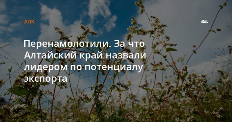 Алтайский край назван лидером России по потенциалу экспорта АПК