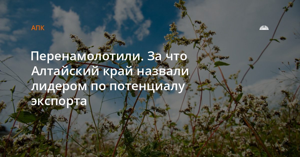 Алтайский край назван лидером России по потенциалу экспорта АПК