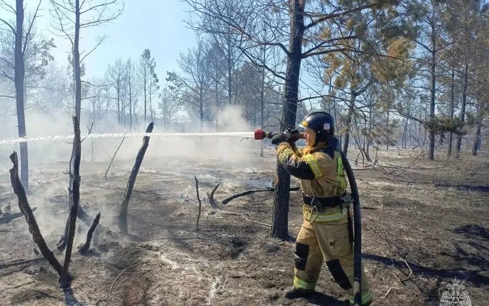 Ландшафтный пожар охватил тысячу квадратных метров возле села Углогского района