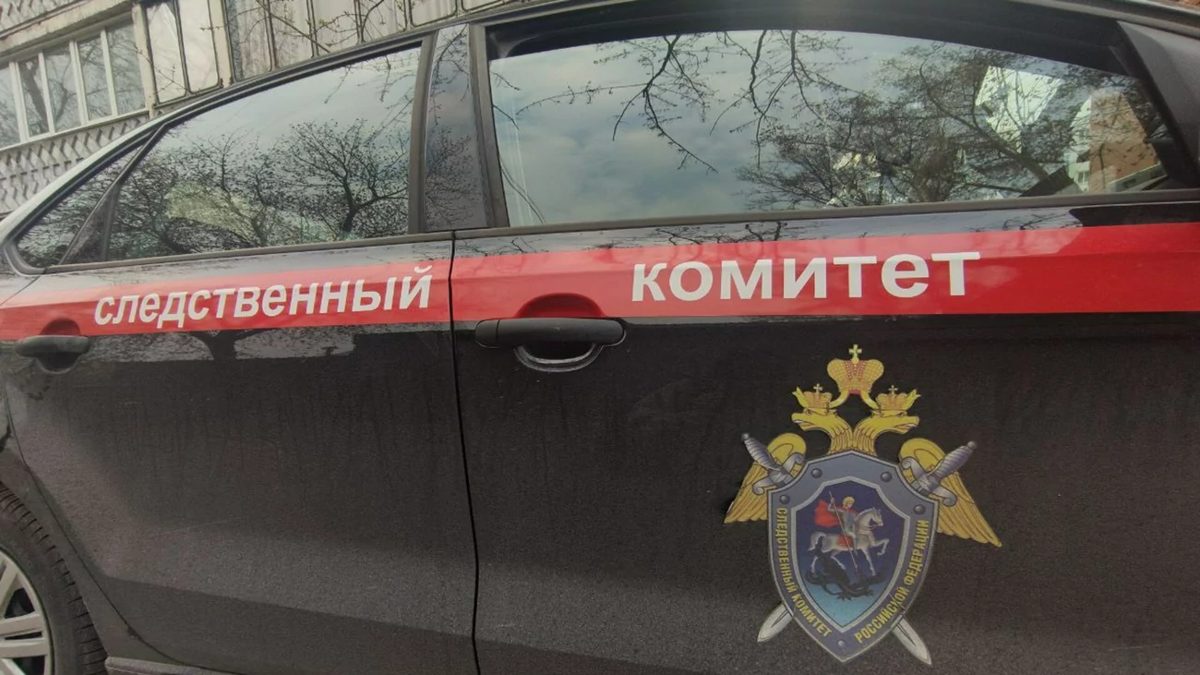 В Барнауле расследуют групповое избиение подростка во время "Музейной ночи"