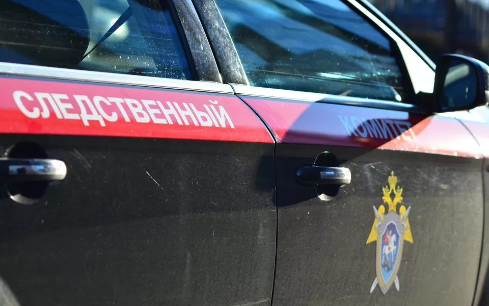 Жительницу Солонешенского района подозревают в призывах к терактам через интернет