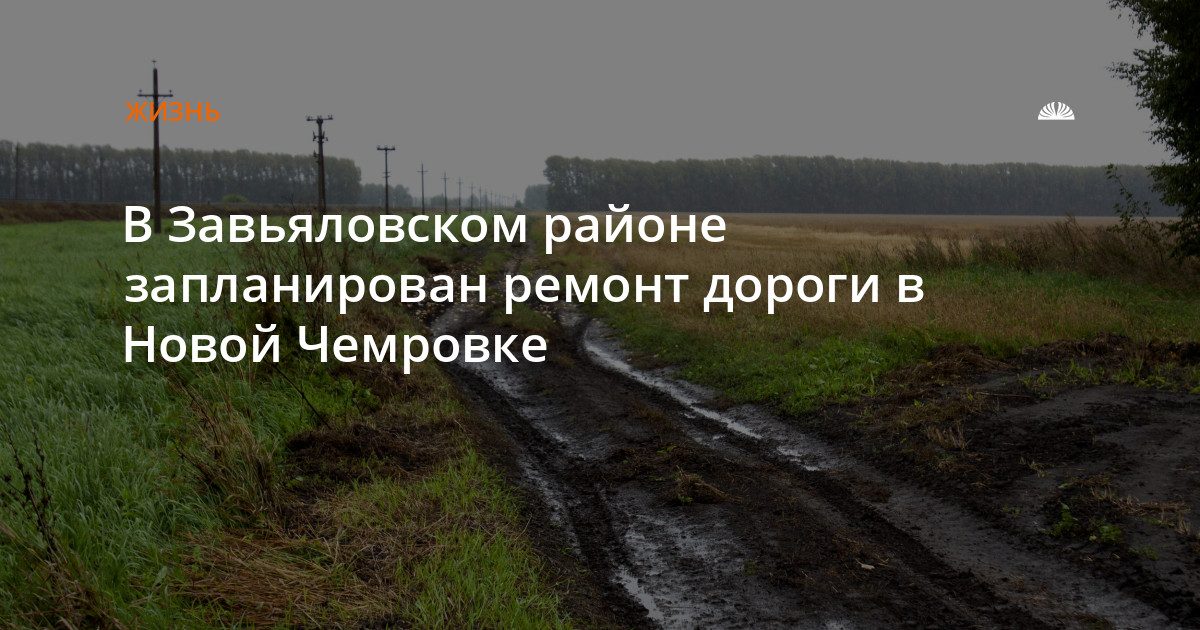 В Новой Чемровке запланирован ремонт улицы Зеленой