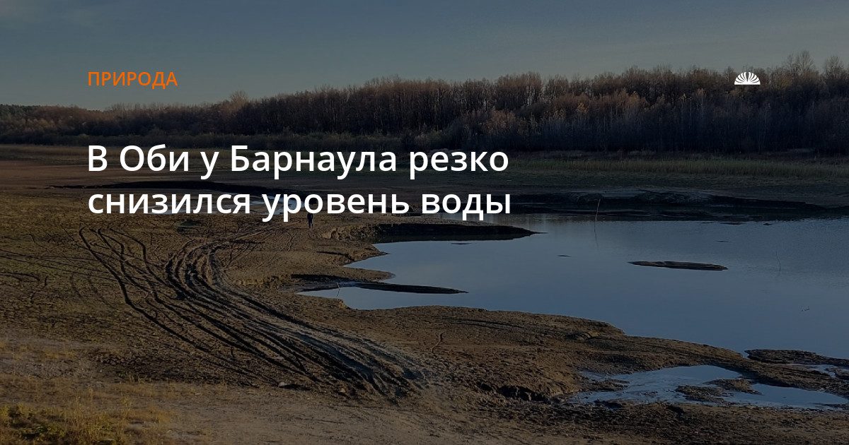 Обь у Барнаула обмелела на 4 см за сутки