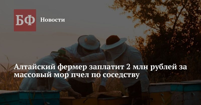 Фермер выплатит 2 млн рублей за гибель 91 пчелосемьи