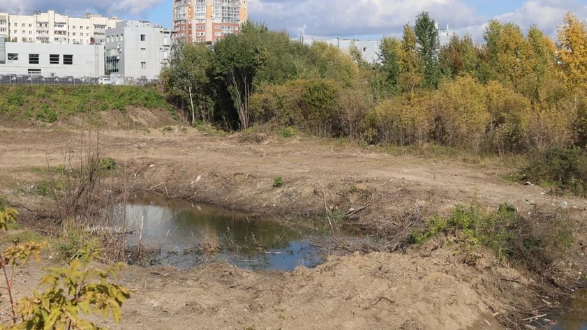 На улице Шумакова расширяют парк: овраг готовят к благоустройству