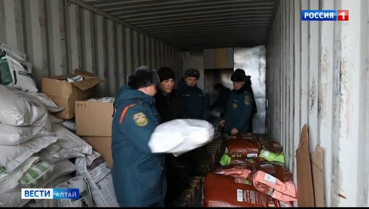 Спасатели краевого МЧС помогли барнаульскому приюту «Ласка»