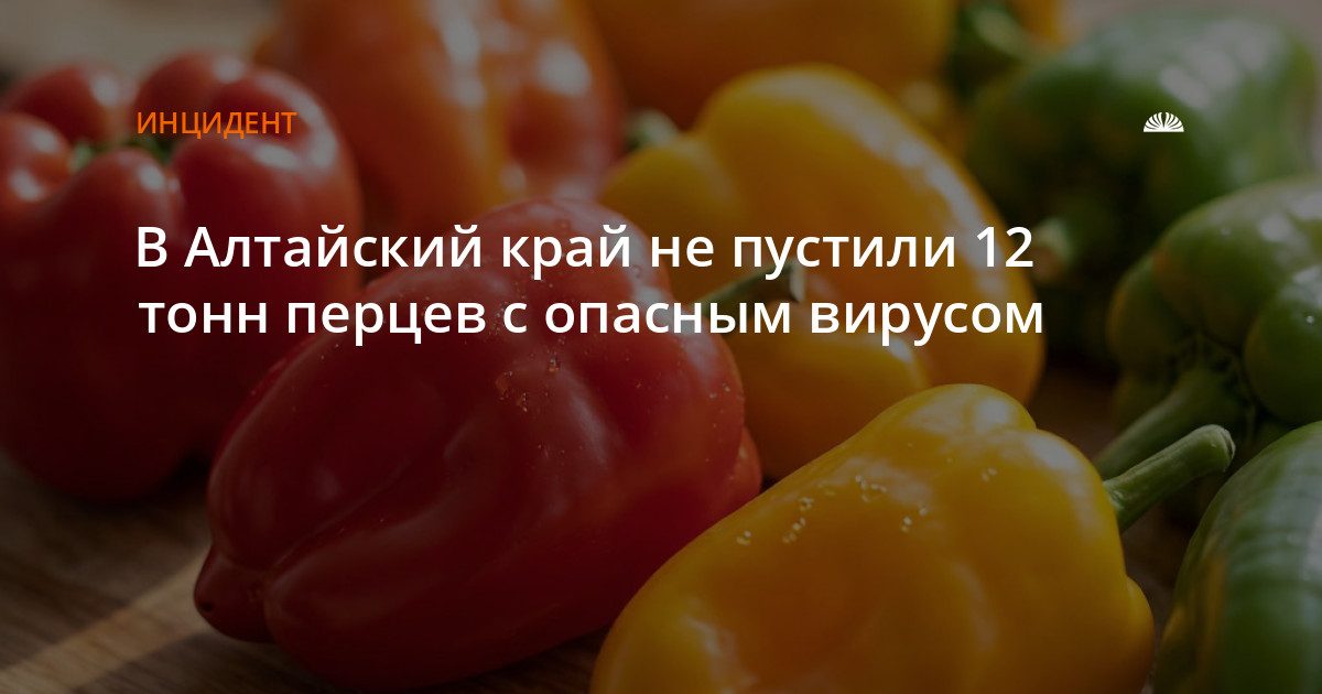 В Алтайском крае задержали 12,35 тонны перцев с опасным вирусом