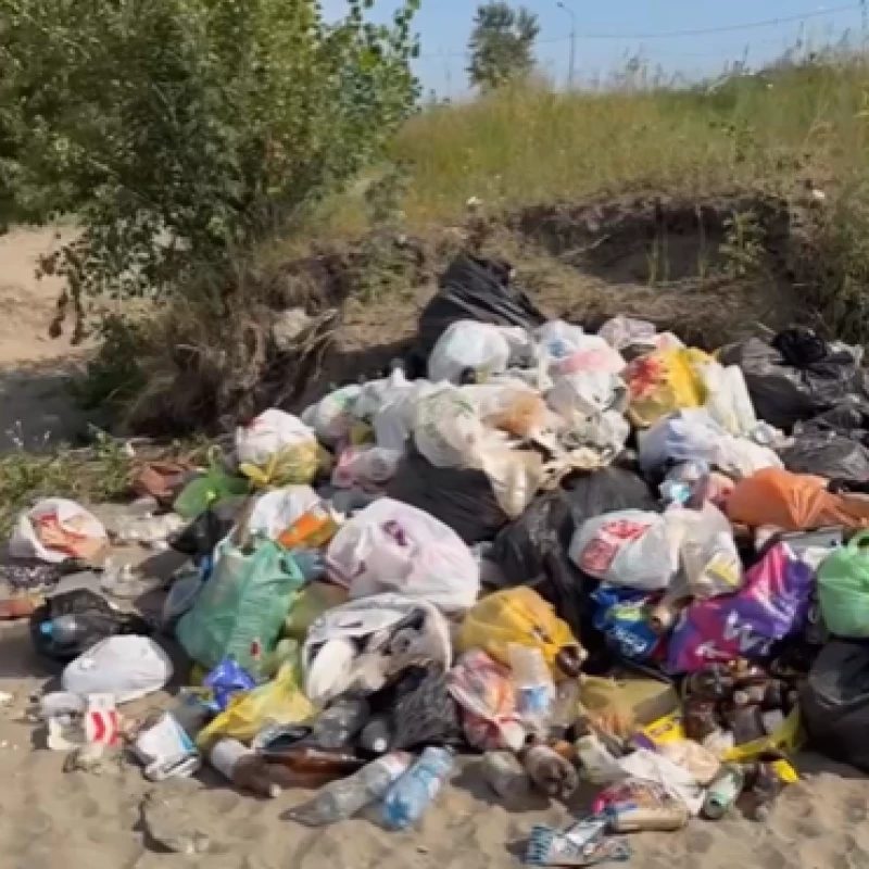 Барнаулец собрал мусор на диком пляже после жалобы местной жительницы