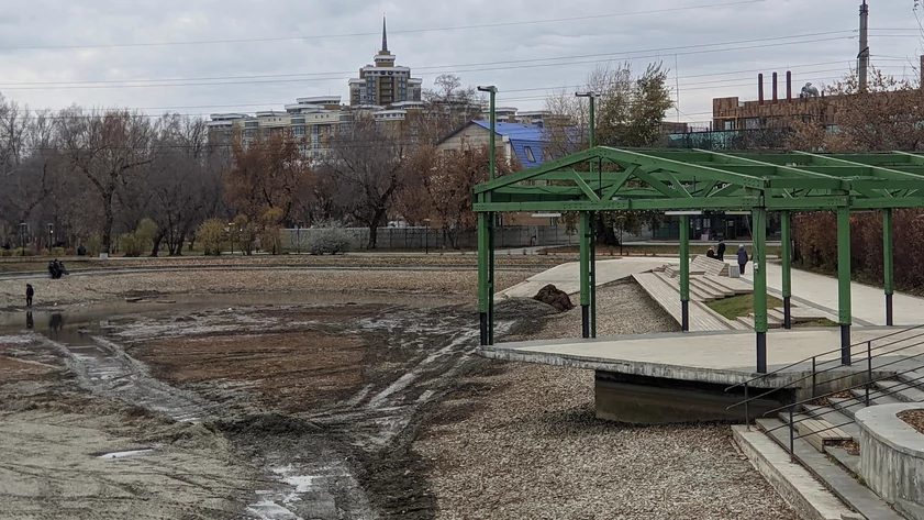 В парке «Изумрудный» в Барнауле осушили пруд: рыбу вывезли на зимовку