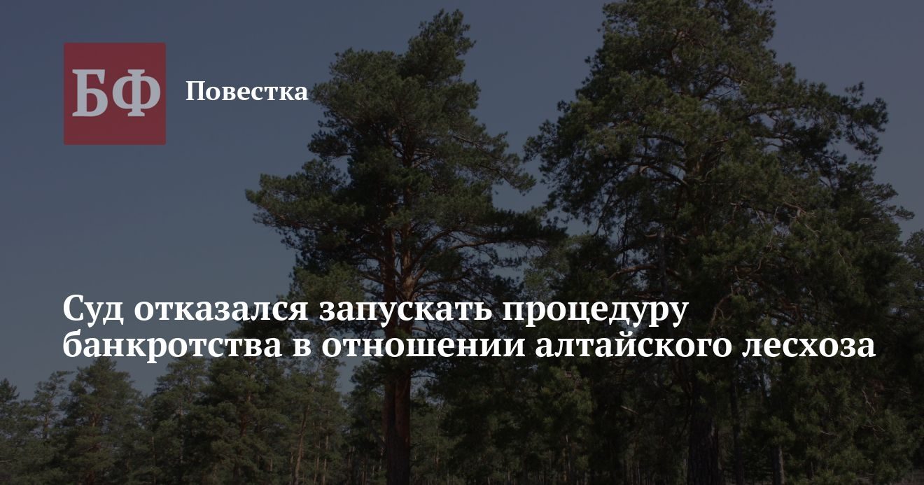 Суд прекратил дело о банкротстве Боровлянского лесхоза