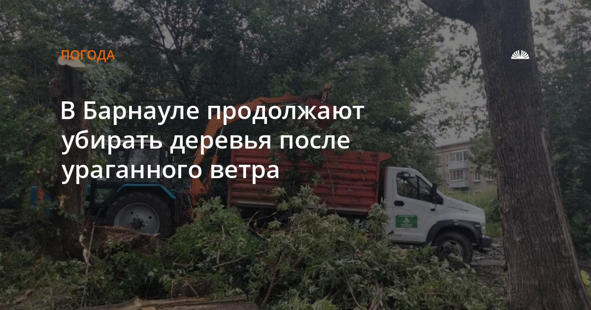В Барнауле продолжают убирать последствия урагана