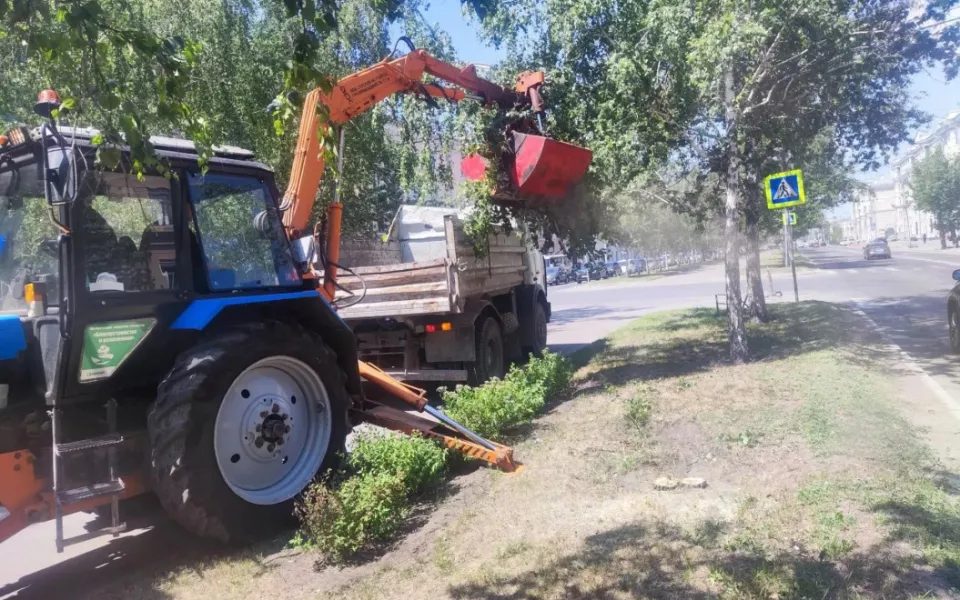 На проспекте Ленина убирают аварийные березы