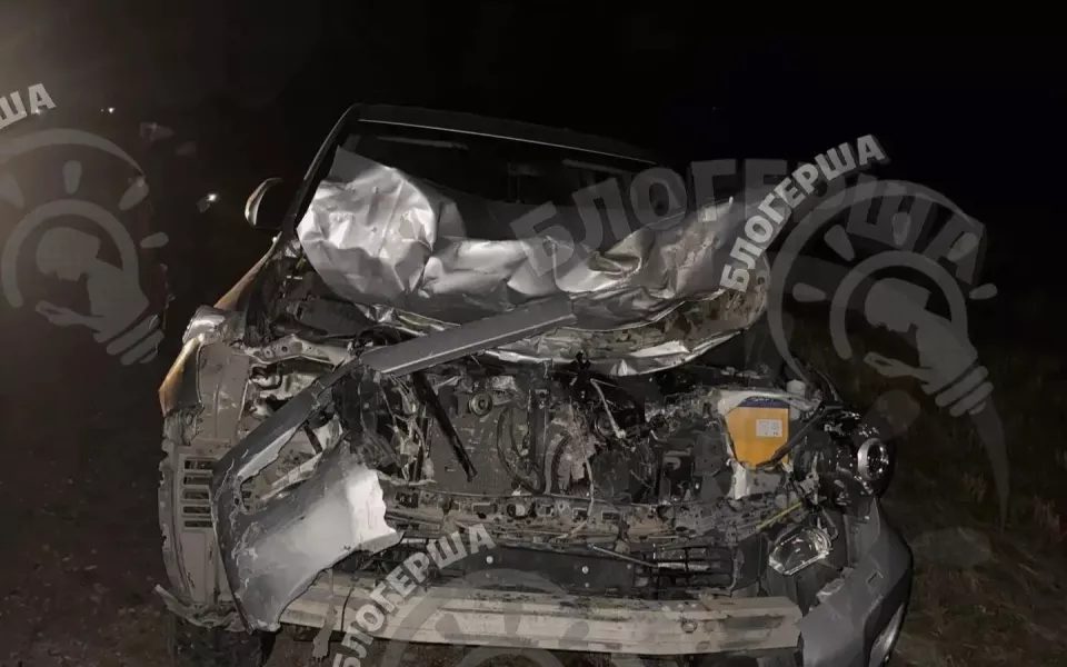 Внедорожник насмерть сбил двух лошадей на трассе в Алтайском крае