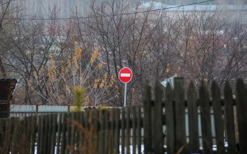 65-й очаг бешенства выявили в Алтайском крае, карантин введён в Ельцовском районе