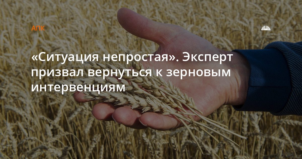 «Ситуация непростая». Эксперт призвал вернуться к зерновым интервенциям