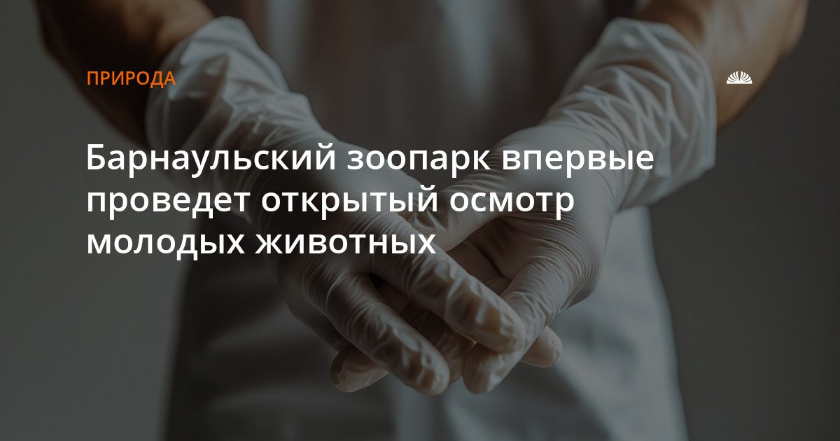 «Лесная сказка» впервые откроет публике ветеринарный осмотр молодых животных